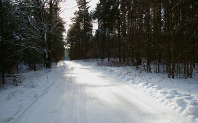 FERIE 2018 W PRZECHLEWIE – ZAPRASZAMY DO ZABAWY