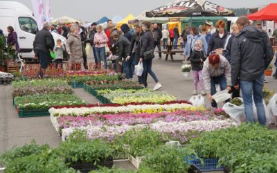 JUŻ W NAJBLIŻSZY WEEKEND – WIOSENNE TARGI OGRODNICZE – PRZECHLEWO 2022