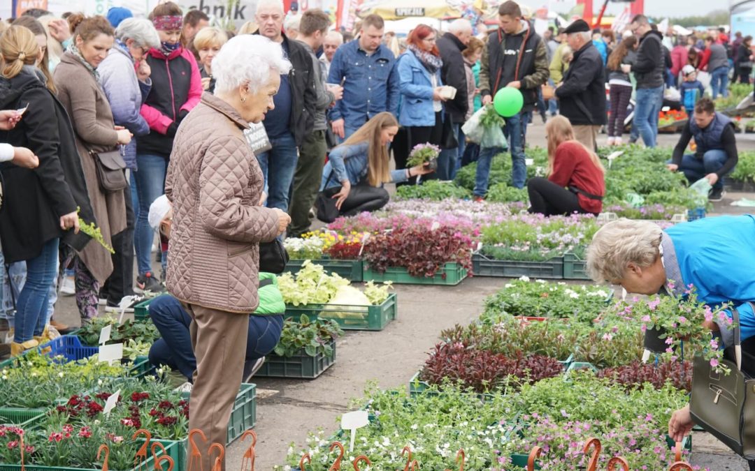 TEGOROCZNE WIOSENNE TARGI OGRODNICZE – JEDNAK ODWOŁANE