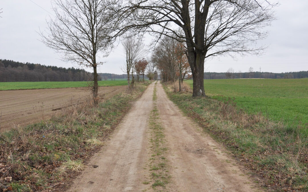 DĄBROWA – ŁUBIANKA UMOWA PODPISANA