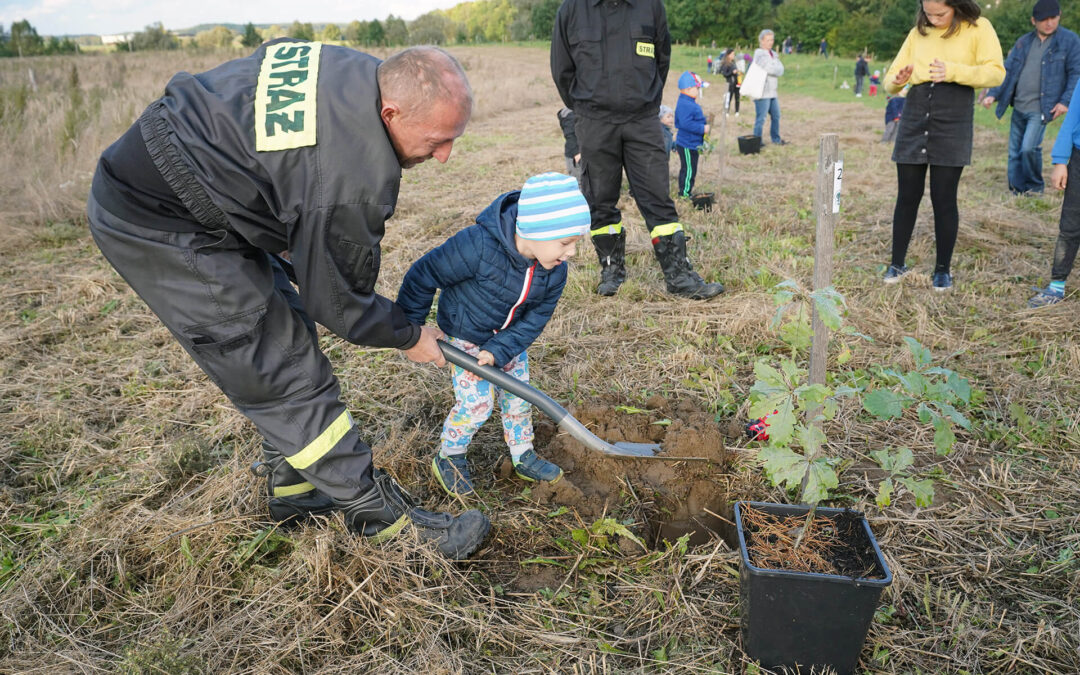 71 NOWYCH DRZEWEK W PARKU DZIECI [GALERIA]