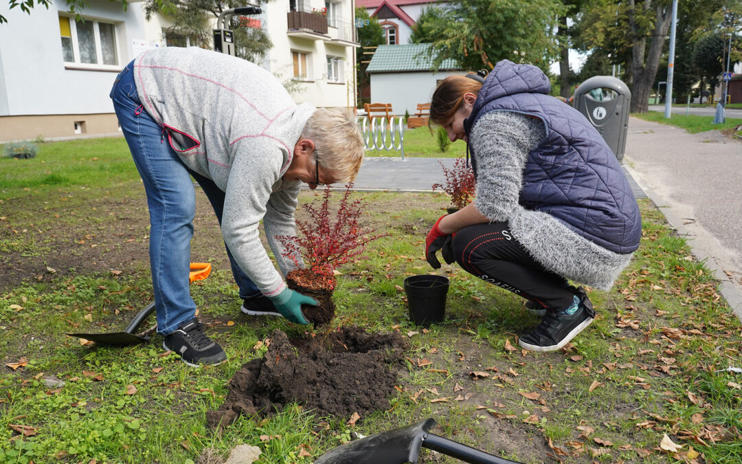 ZRÓB TO SAM – MIESZKAŃCY ZAGOSPODARUJĄ SWOJE PODWÓRKA