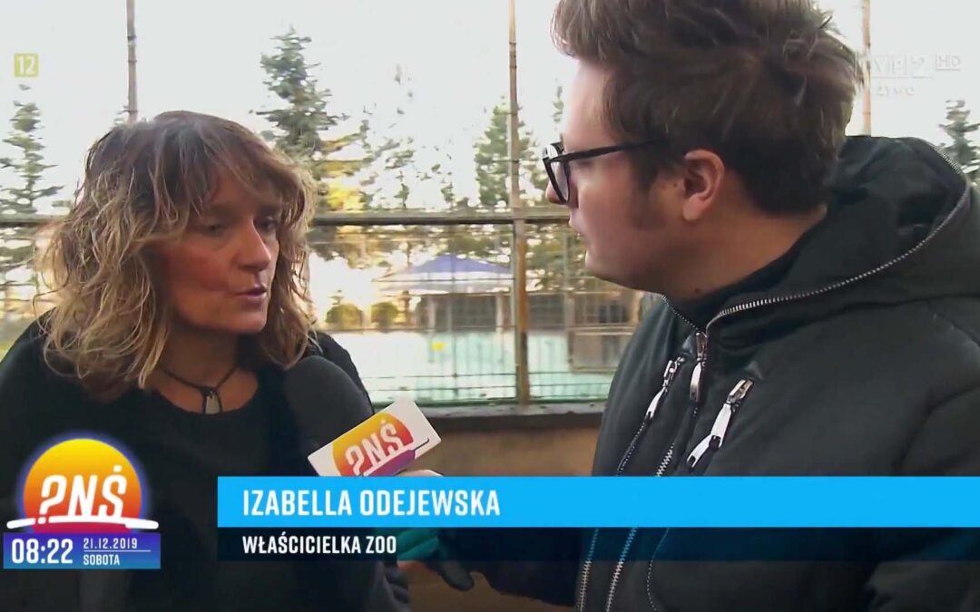 PODCZŁUCHOWSKIE ZOO CANPOL W PYTANIU NA ŚNIADANIE [TVP]