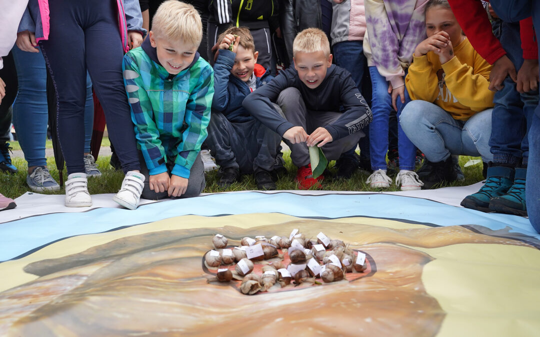 WYŚCIGI ŚLIMAKÓW W RZECZENICY [TELEEXPRESS]