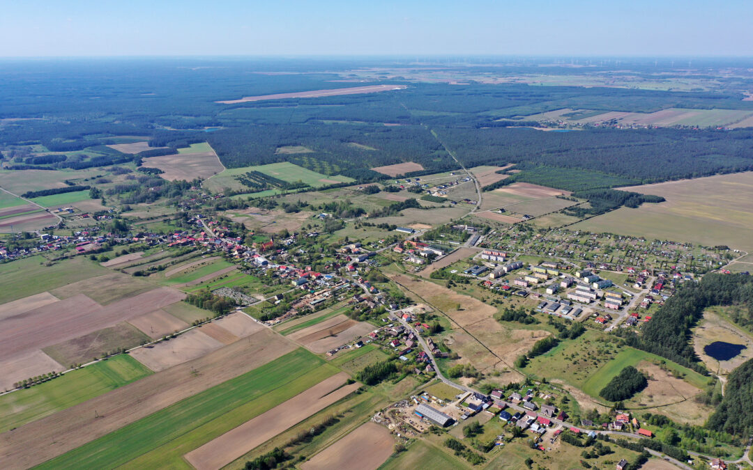 POZNAJ HISTORIĘ KOCZAŁY NA JEJ 667. URODZINY!