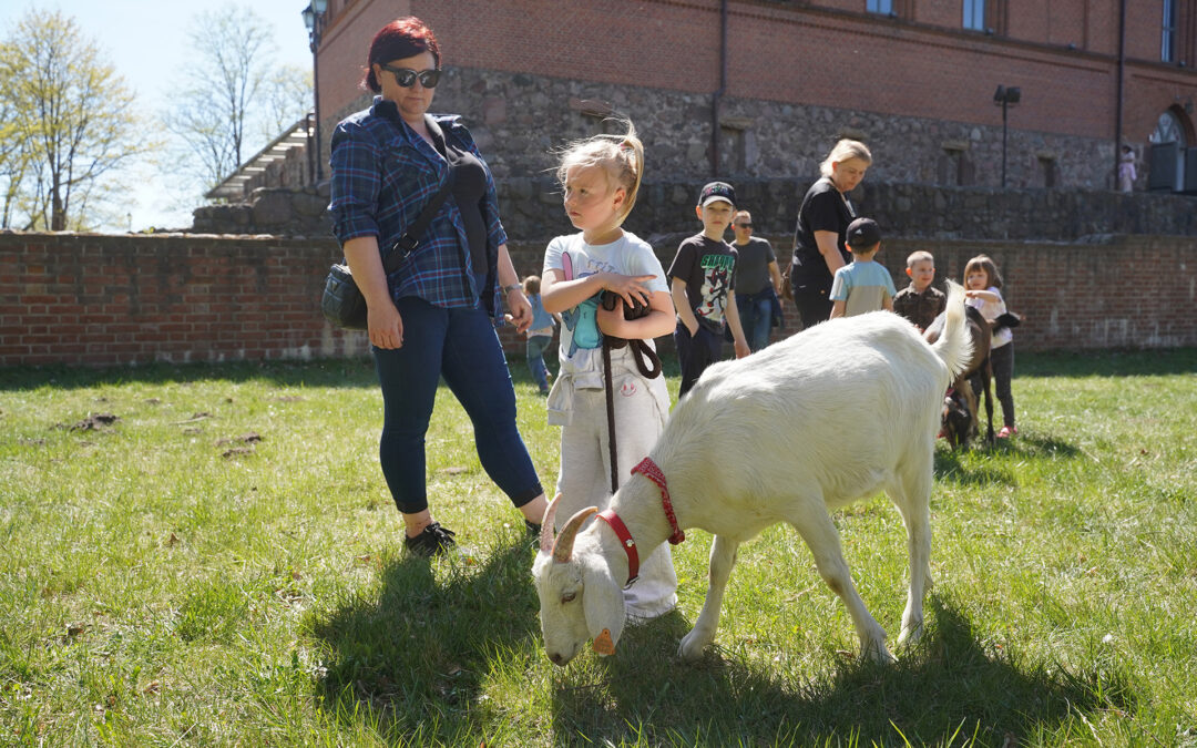 MAJOWY PIKNIK RODZINNY W CZŁUCHOWIE