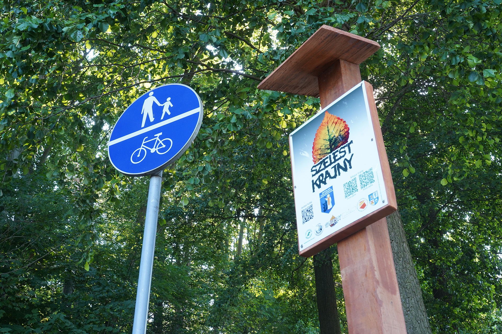 TrasaSzelestKrajny-KEP07231